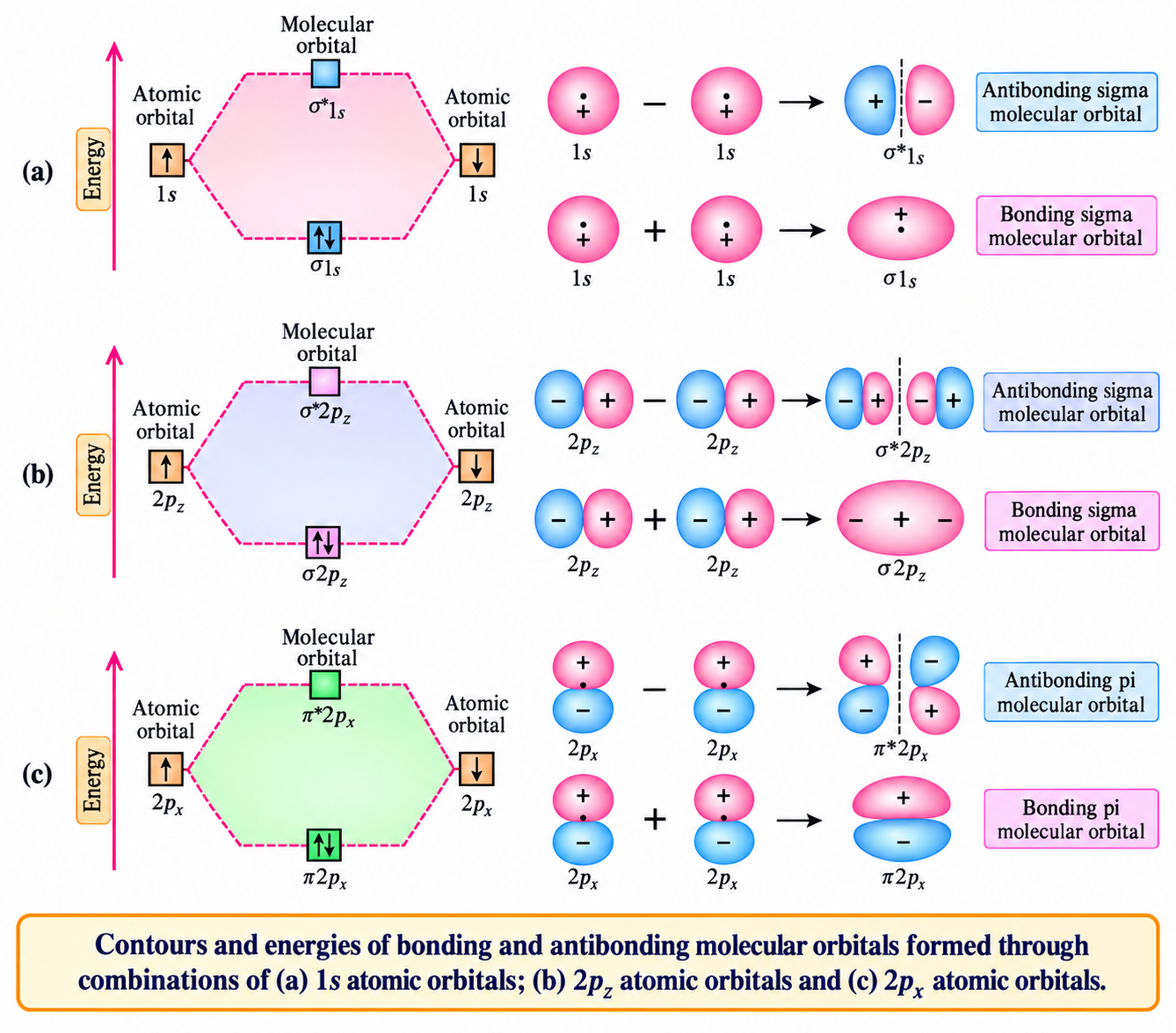 Fig. 4.20 Molecular Orbital Energy and Bonding Diagram